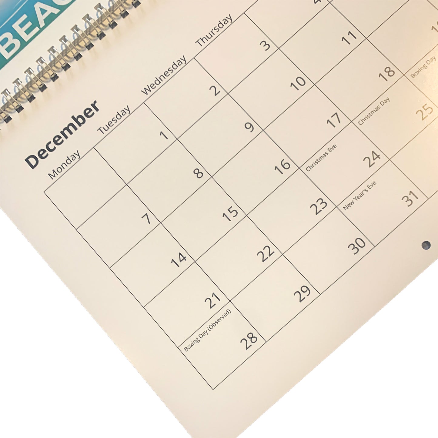 NEWCASTLE 2026 CALENDAR